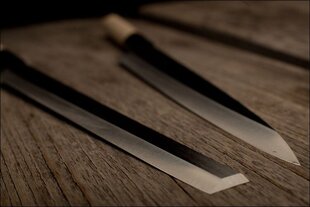 Masahiro nazis, 24 cm цена и информация | Ножи и аксессуары для них | 220.lv