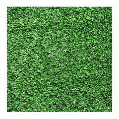 Искусственная трава Ankara, 2×4 м цена и информация | Террасный пол | 220.lv