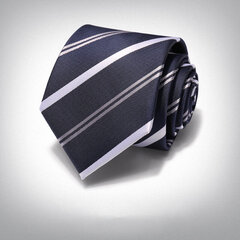 Kaklasaite vīriešiem Deven Home P8-5059 cena un informācija | Kaklasaites, tauriņi | 220.lv