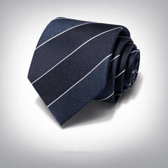Kaklasaite vīriešiem Deven Home P8-5033 cena un informācija | Kaklasaites, tauriņi | 220.lv