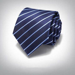 Kaklasaite vīriešiem Deven Home P8-5006 cena un informācija | Kaklasaites, tauriņi | 220.lv
