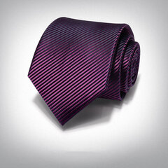 Мужские галстуки Deven Home P8-5019 Формальные свадебные вечеринки бизнес цена и информация | Галстуки, бабочки | 220.lv