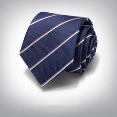Kaklasaite vīriešiem Deven Home P8-5103 cena un informācija | Kaklasaites, tauriņi | 220.lv