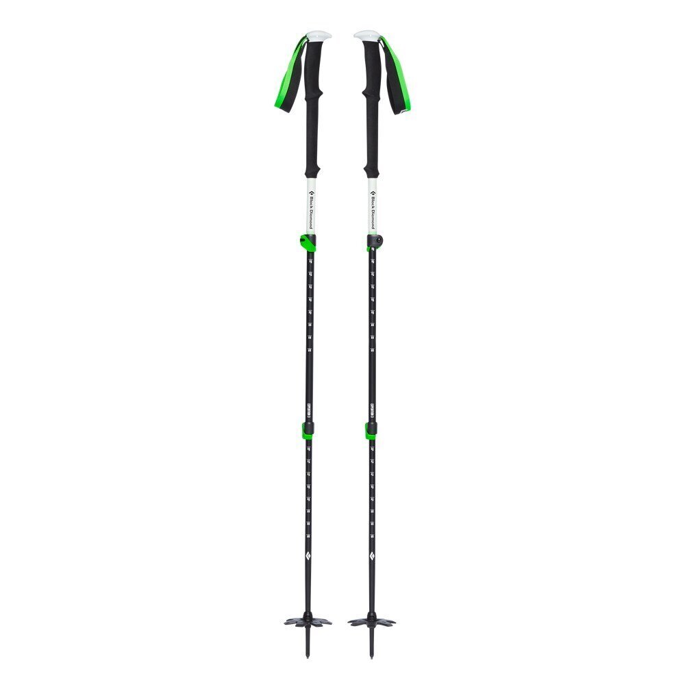 Kalnu slēpošanas nūjas Black Diamond Expedition 3, 125 cm, zaļa/melna cena un informācija | Kalnu slēpošanas nūjas | 220.lv