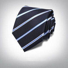Kaklasaite vīriešiem Deven Home P8-5007 cena un informācija | Kaklasaites, tauriņi | 220.lv