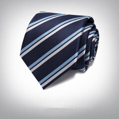 Kaklasaite vīriešiem Deven Home P8-5005 cena un informācija | Kaklasaites, tauriņi | 220.lv