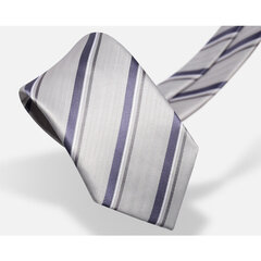 Мужские галстуки Deven Home P7-1027 Формальные свадебные вечеринки бизнес шелк цена и информация | Галстуки, бабочки | 220.lv