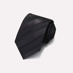 Kaklasaite vīriešiem Deven Home P7-1010 cena un informācija | Kaklasaites, tauriņi | 220.lv