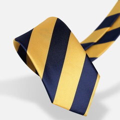 Мужские галстуки Deven Home P7-1034 Формальные свадебные вечеринки бизнес цена и информация | Галстуки, бабочки | 220.lv