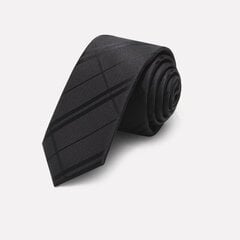 Kaklasaite vīriešiem Deven Home P5-3028 cena un informācija | Kaklasaites, tauriņi | 220.lv