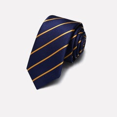 Мужские галстуки Deven Home P5-3006 Формальные свадебные вечеринки бизнес цена и информация | Галстуки, бабочки | 220.lv