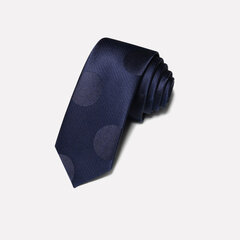 Kaklasaite vīriešiem Deven Home P5-3046 cena un informācija | Kaklasaites, tauriņi | 220.lv