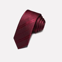 Kaklasaite vīriešiem Deven Home P5-3047 cena un informācija | Kaklasaites, tauriņi | 220.lv