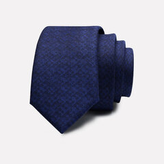 Мужские галстуки Deven Home P5-W007 Формальные свадебные вечеринки бизнес цена и информация | Галстуки, бабочки | 220.lv