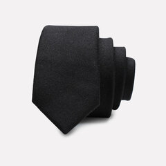 Kaklasaite vīriešiem Deven Home P5-W006 cena un informācija | Kaklasaites, tauriņi | 220.lv