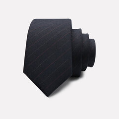 Kaklasaite vīriešiem Deven Home P5-W003 cena un informācija | Kaklasaites, tauriņi | 220.lv