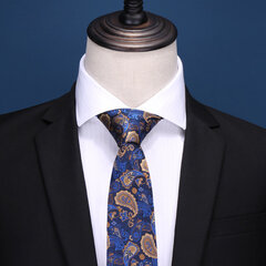 Kaklasaite vīriešiem Deven Home S8-8012 cena un informācija | Kaklasaites, tauriņi | 220.lv