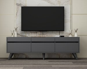 TV galds Kalune Design River, pelēks цена и информация | Тумбы под телевизор | 220.lv