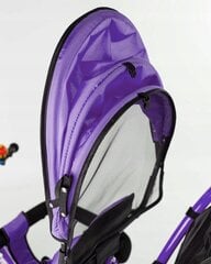 Многофункциональный трехколесный велосипед-коляска BE-ACTIVE 3в1, фиолетовый цена и информация | Трехколесные велосипеды | 220.lv