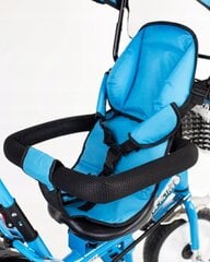 Многофункциональная трехколесная коляска BE-ACTIVE 3в1, синий цена и информация | Трехколесные велосипеды | 220.lv