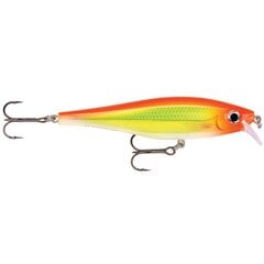 Воблер BX Minnow 10cm/12g/0.9-1.5m HH цена и информация | Воблеры, приманки, блесны | 220.lv