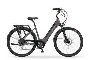 Elektriskais velosipēds EcoBike X-City Coffee 28", brūns цена и информация | Электровелосипеды | 220.lv