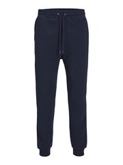 JACK & JONES мужские спортивные брюки 12249274*01, синие цена и информация | Мужские брюки | 220.lv