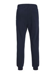 JACK & JONES мужские спортивные брюки 12249274*01, синие цена и информация | Мужские трусы Nek, черные | 220.lv