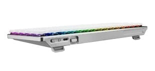 Asus ROG Falchion RX Low Profile (90MP03EC-BKNA10) цена и информация | Клавиатуры | 220.lv