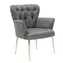Krēsls Kalune Design Paris Gold Metal, pelēks цена и информация | Кресла в гостиную | 220.lv