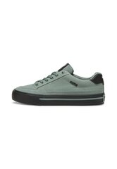 Puma Обувь Court Classic Vulc Green 395020 04 395020 04/8 цена и информация | Кроссовки для мужчин | 220.lv