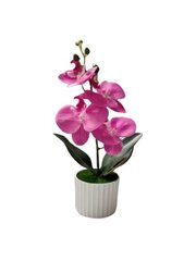 Mākslīgais orhidejas zieds Electronics LV-8, 1 gab. cena un informācija | Mākslīgie ziedi | 220.lv