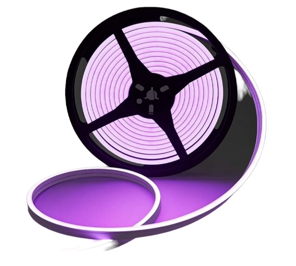Neona LED lenta, 5 m, violeta cena un informācija | LED lentes | 220.lv