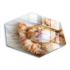 Stikla griešanas dēlītis Mazs mīlīgs kaķēns, 40 cm цена и информация | Pазделочные доски | 220.lv