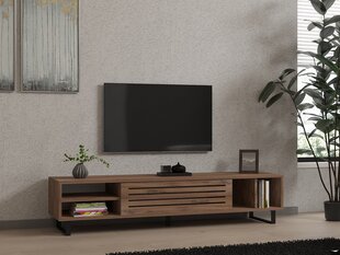 TV galds Asir Safir, brūns цена и информация | Тумбы под телевизор | 220.lv
