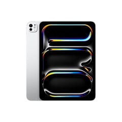 iPad Pro 11" M4 Wi-Fi 256GB with Standard glass - Silver - MVV93HC/A цена и информация | Планшеты | 220.lv