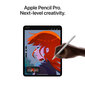 iPad Pro 11" M4 Wi-Fi 256GB with Standard glass - Silver - MVV93HC/A цена и информация | Planšetdatori | 220.lv