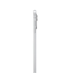 iPad Pro 11" M4 Wi-Fi 256GB with Standard glass - Silver - MVV93HC/A цена и информация | Планшеты | 220.lv