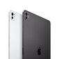 iPad Pro 11" M4 Wi-Fi 512GB with Standard glass - Space Black - MVVC3HC/A cena un informācija | Planšetdatori | 220.lv