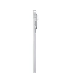 iPad Pro 11" M4 Wi-Fi 1TB with Standard glass - Silver - MVVF3HC/A цена и информация | Планшеты | 220.lv