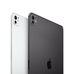 iPad Pro 11" M4 Wi-Fi 1TB with Nano-texture Glass - Silver - MWR73HC/A цена и информация | Планшеты | 220.lv