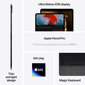 iPad Pro 11" M4 Wi-Fi 1TB with Nano-texture Glass - Silver - MWR73HC/A cena un informācija | Planšetdatori | 220.lv
