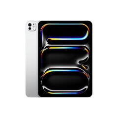 iPad Pro 11" M4 Wi-Fi 2TB with Nano-texture Glass - Silver - MWR93HC/A цена и информация | Планшеты | 220.lv