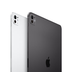 11-collu iPad Pro WiFi + Cellular 2TB ar Standarta stiklu - Space Black MVW73HC/A cena un informācija | Planšetdatori | 220.lv