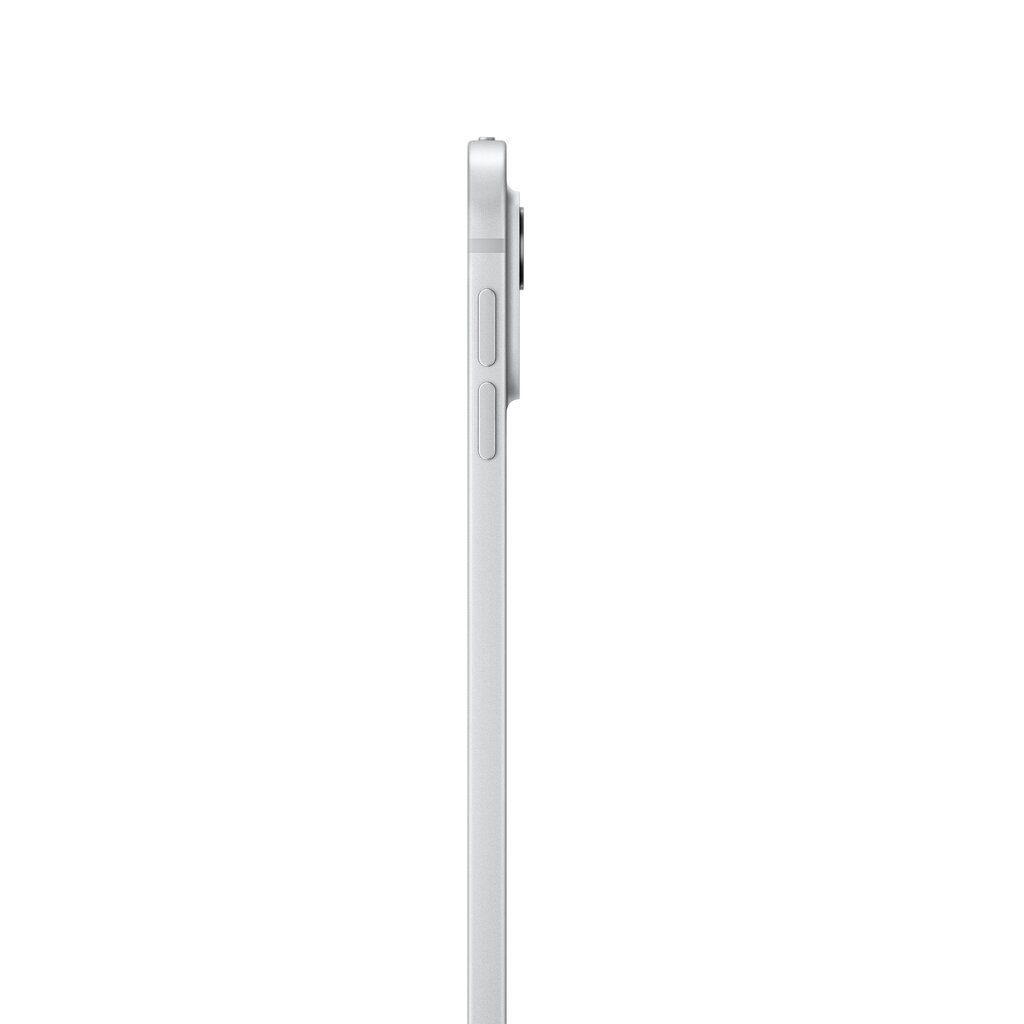 iPad Pro 13" M4 Wi-Fi 256GB with Standard glass - Silver - MVX33HC/A cena un informācija | Planšetdatori | 220.lv