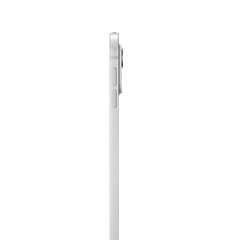 iPad Pro 13" M4 Wi-Fi 1TB with Standard glass - Silver - MVX73HC/A цена и информация | Планшеты | 220.lv