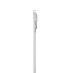iPad Pro 13" M4 Wi-Fi 1TB with Nano-texture Glass - Silver - MWRG3HC/A цена и информация | Планшеты | 220.lv