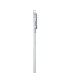iPad Pro 13 дюймов, Wi-Fi + Сотовая связь, 256 ГБ, стандартное стекло, серебристый MVXT3HC/A цена и информация | Планшеты | 220.lv