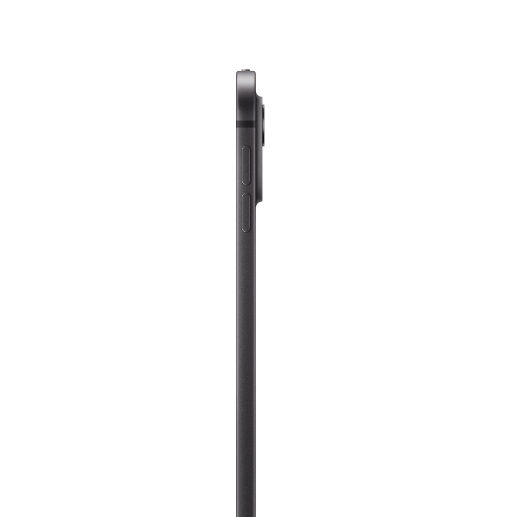 iPad Pro 13" M4 Wi-Fi + Cellular 256GB with Standard glass - Space Black - MVXR3HC/A цена и информация | Planšetdatori | 220.lv