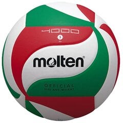 расплавленный волейбол цена и информация | Волейбольные мячи | 220.lv